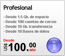 Para hacer crecer su negocio en internet, los planes profesionales est&aacute;n orientados a sitios que necesiten disponer de un alto rendimiento real, por su cantidad de visitas o por que necesitan caracter&iacute;sticas especiales para sus aplicaciones y con un servicio t&eacute;cnico especializado las 24 horas que garantize que su negocio no va dejar de funcionar.