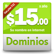 Su nombre de dominio con su propio panel de control.