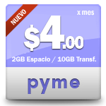 Planes profesionales de hosting para empresas