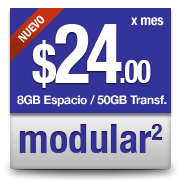 Planes profesionales de hosting para empresas con requerimientos especiales, alta capacidad y mucho tr&aacute;fico.