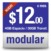 Planes profesionales de hosting para empresas con aplicaciones
