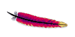Apache servidor web